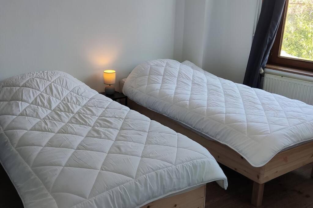 Maison Ronchin/Lille - Proche Toutes Commodites Buitenkant foto